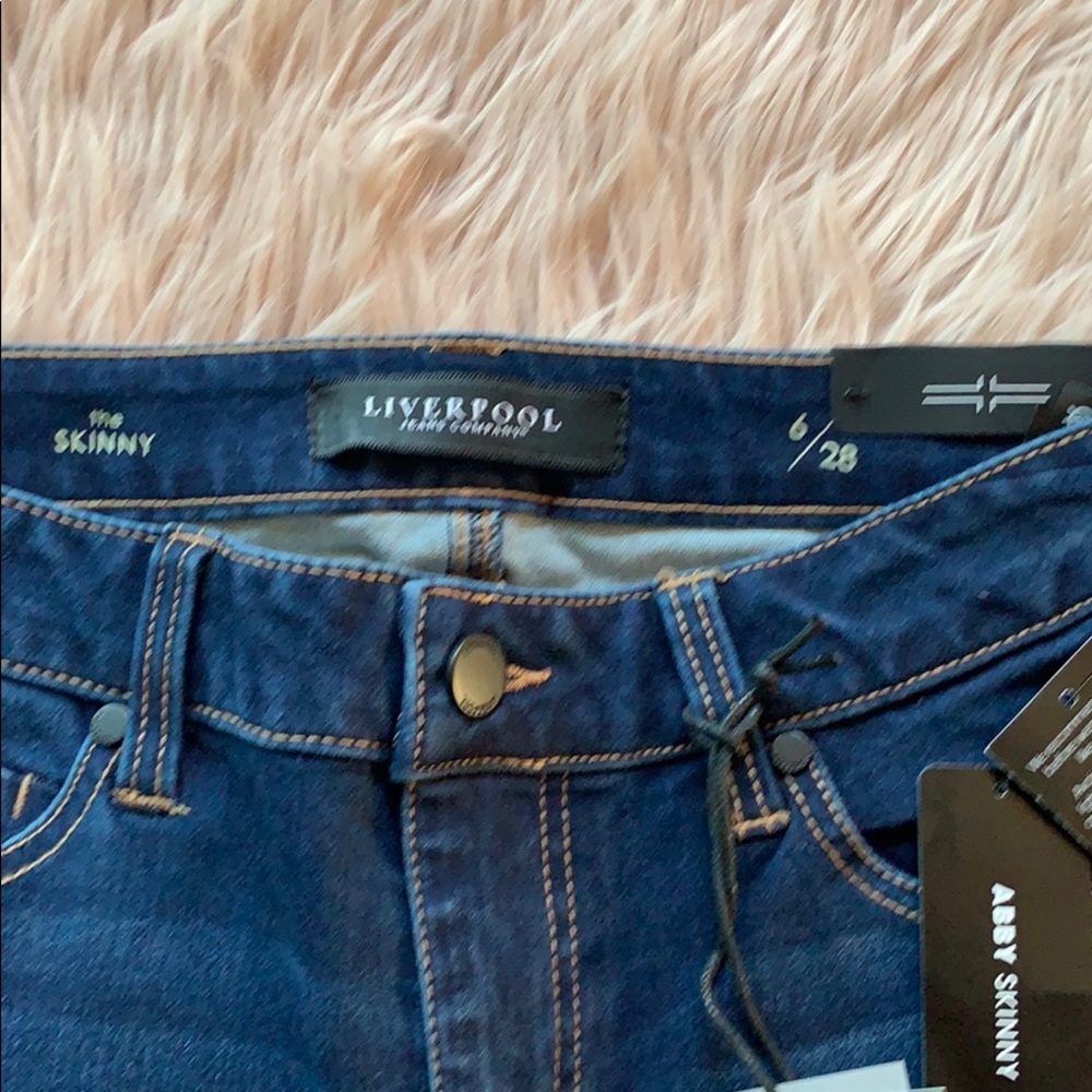 Liverpool Abby Skinny Jeans in Cleveland Dark 6/28 - Picture 8 of 8